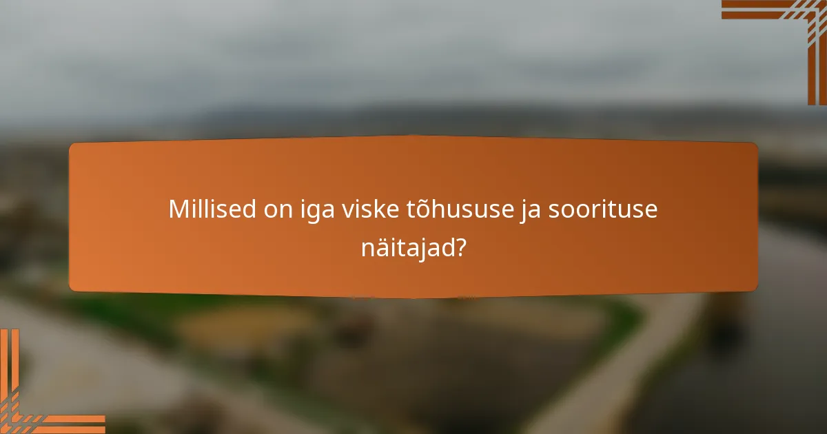 Millised on iga viske tõhususe ja soorituse näitajad?
